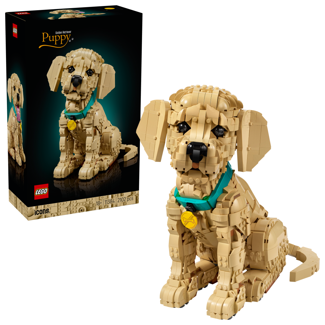 LEGO Icons Golden Retriever Puppy Building Set - 11384