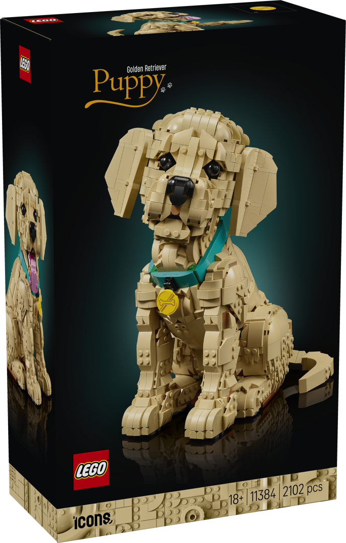 LEGO Icons Golden Retriever Puppy Building Set - 11384