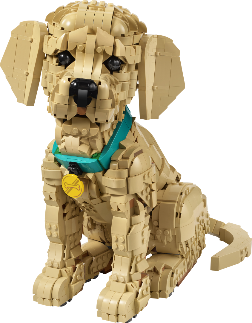 LEGO Icons Golden Retriever Puppy Building Set - 11384