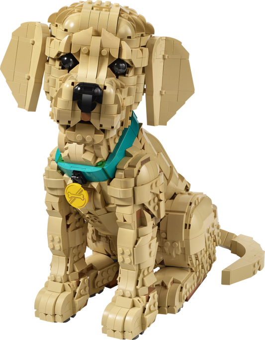 LEGO Icons Golden Retriever Puppy Building Set - 11384