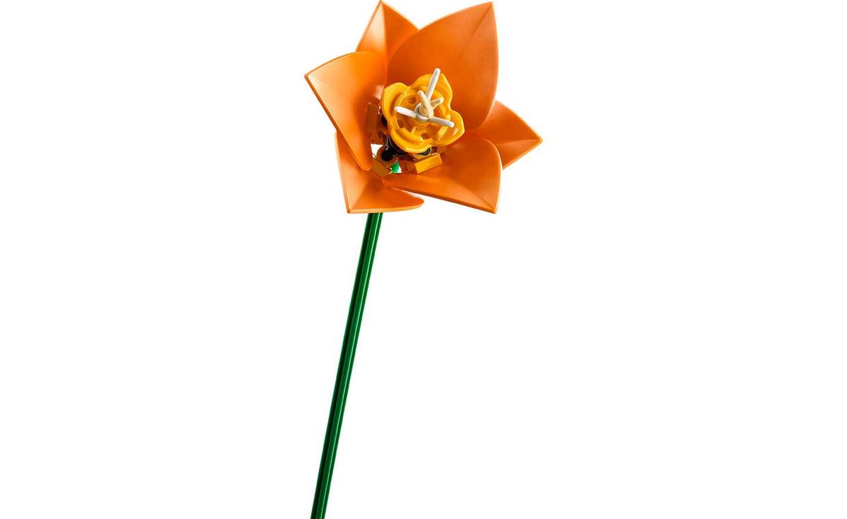 LEGO Botanicals Tulip Bouquet - Set 11501