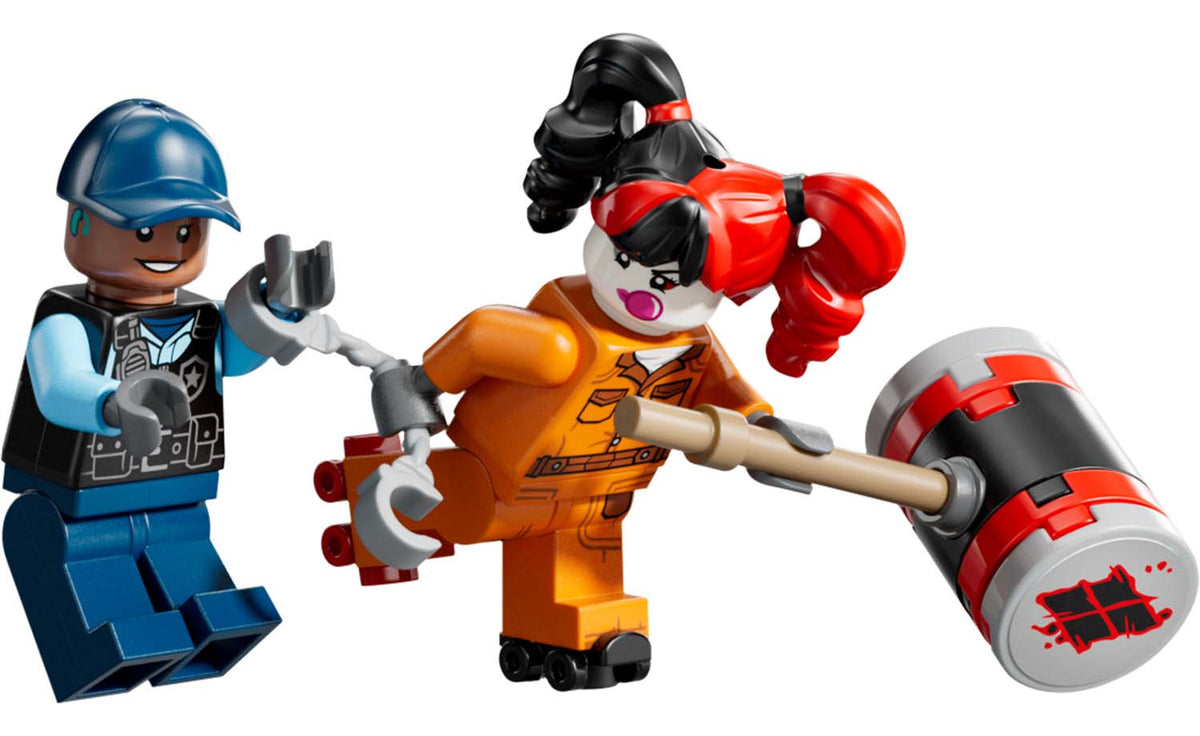 LEGO DC Arkham Asylum Building Set - 76300