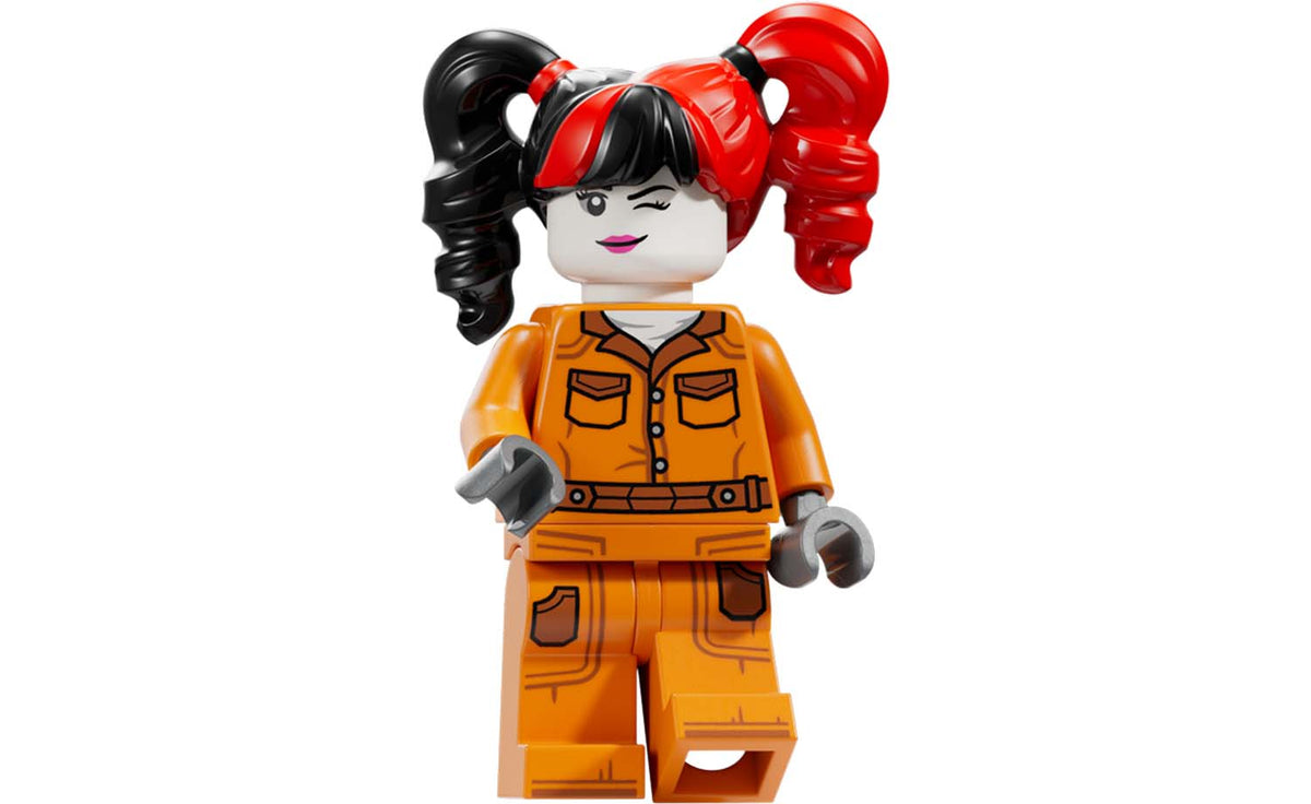 LEGO DC Arkham Asylum Building Set - 76300