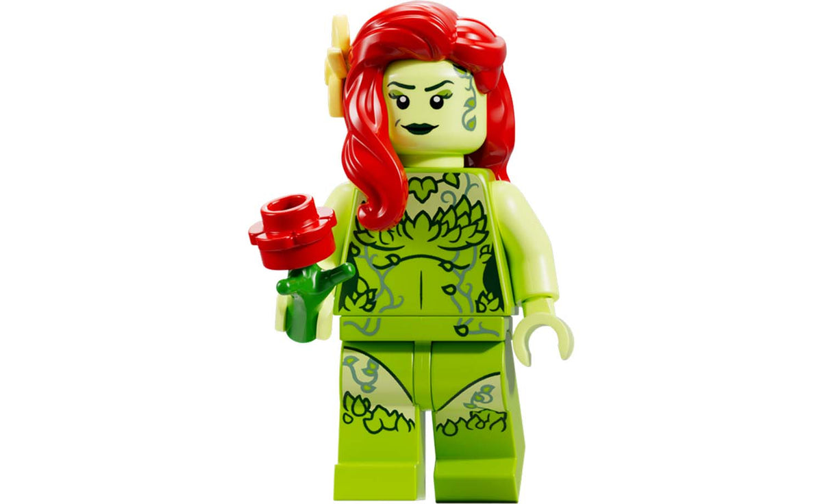 LEGO DC Arkham Asylum Building Set - 76300