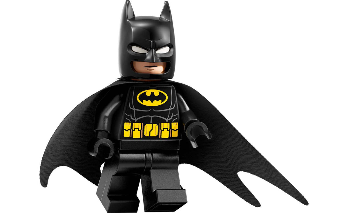 LEGO DC Arkham Asylum Building Set - 76300
